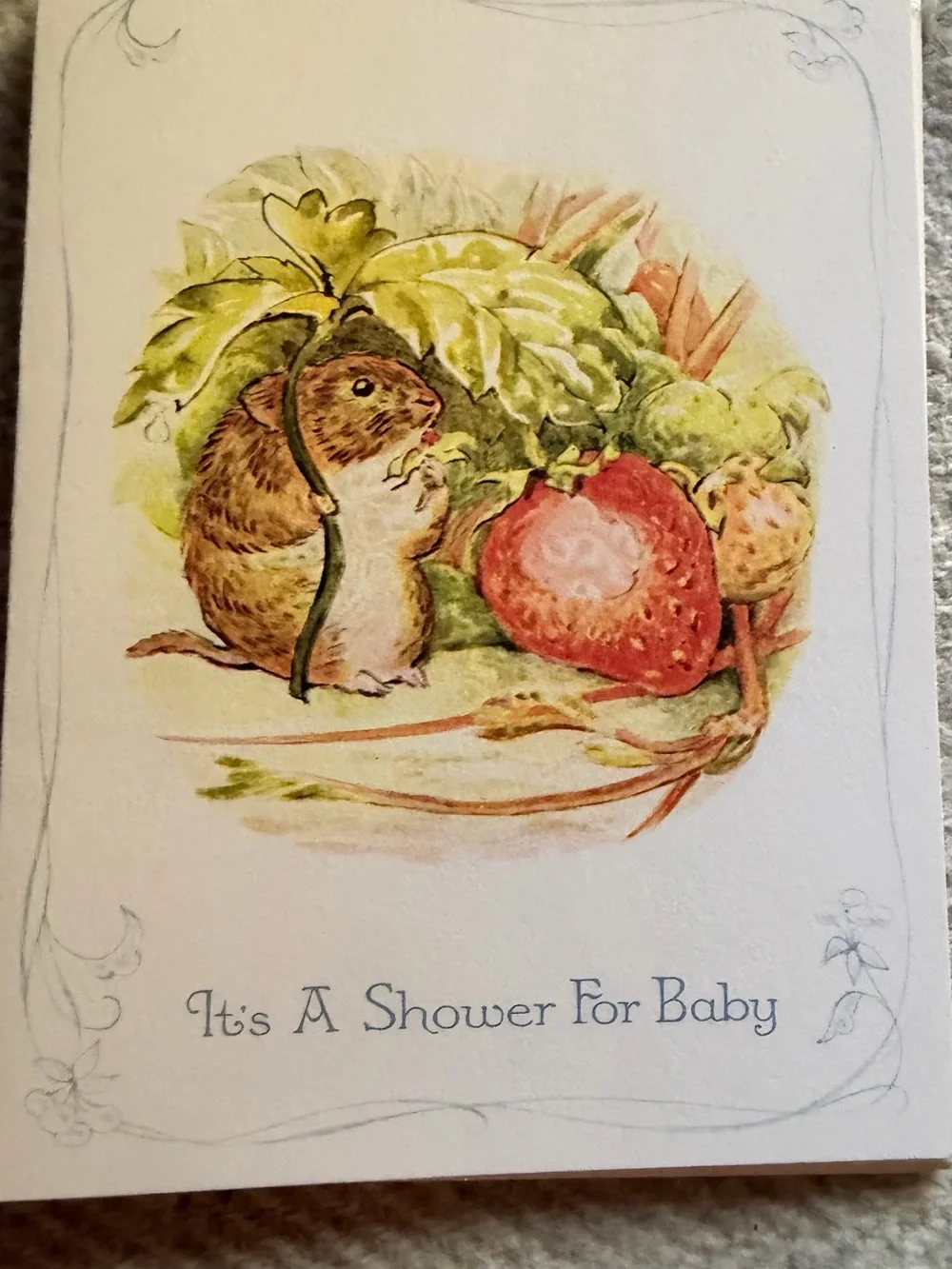 Clinton Prints Beatrix Potter Baby Shower Invitations 7 Folded Cards w Envelopes